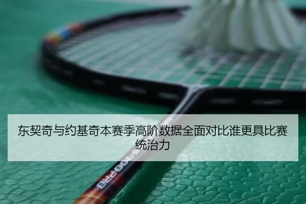 东契奇与约基奇本赛季高阶数据全面对比谁更具比赛统治力